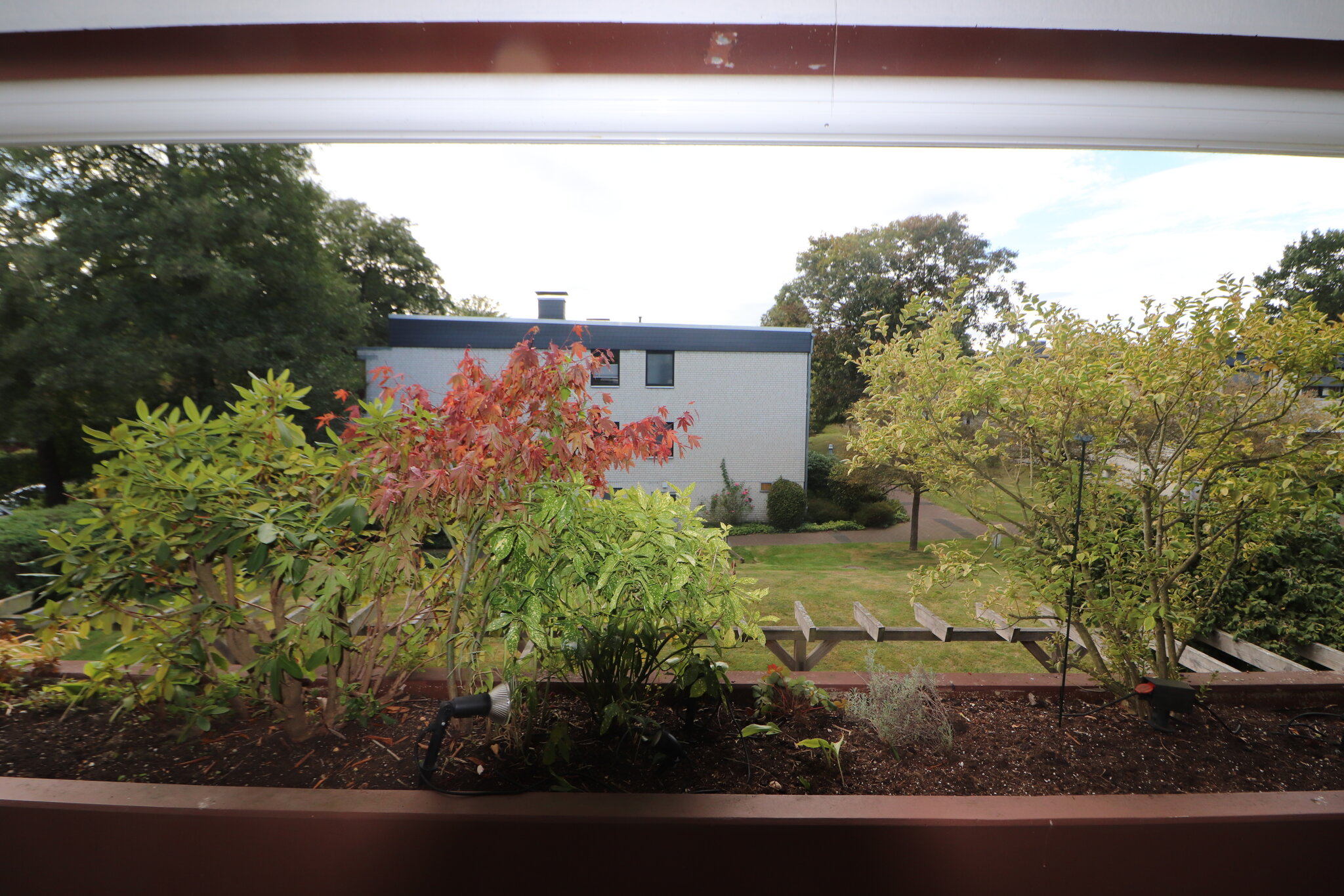 Blick vom großen Balkon ins Grüne